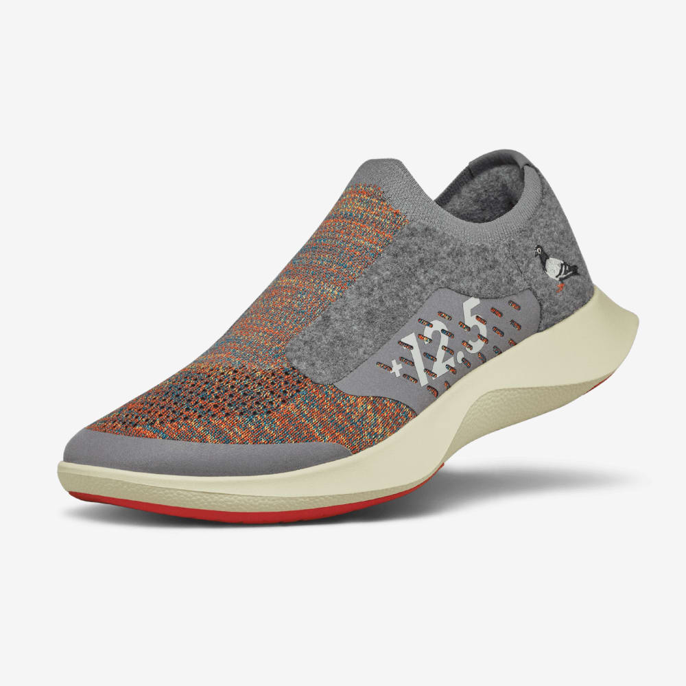Allbirds staple dasher