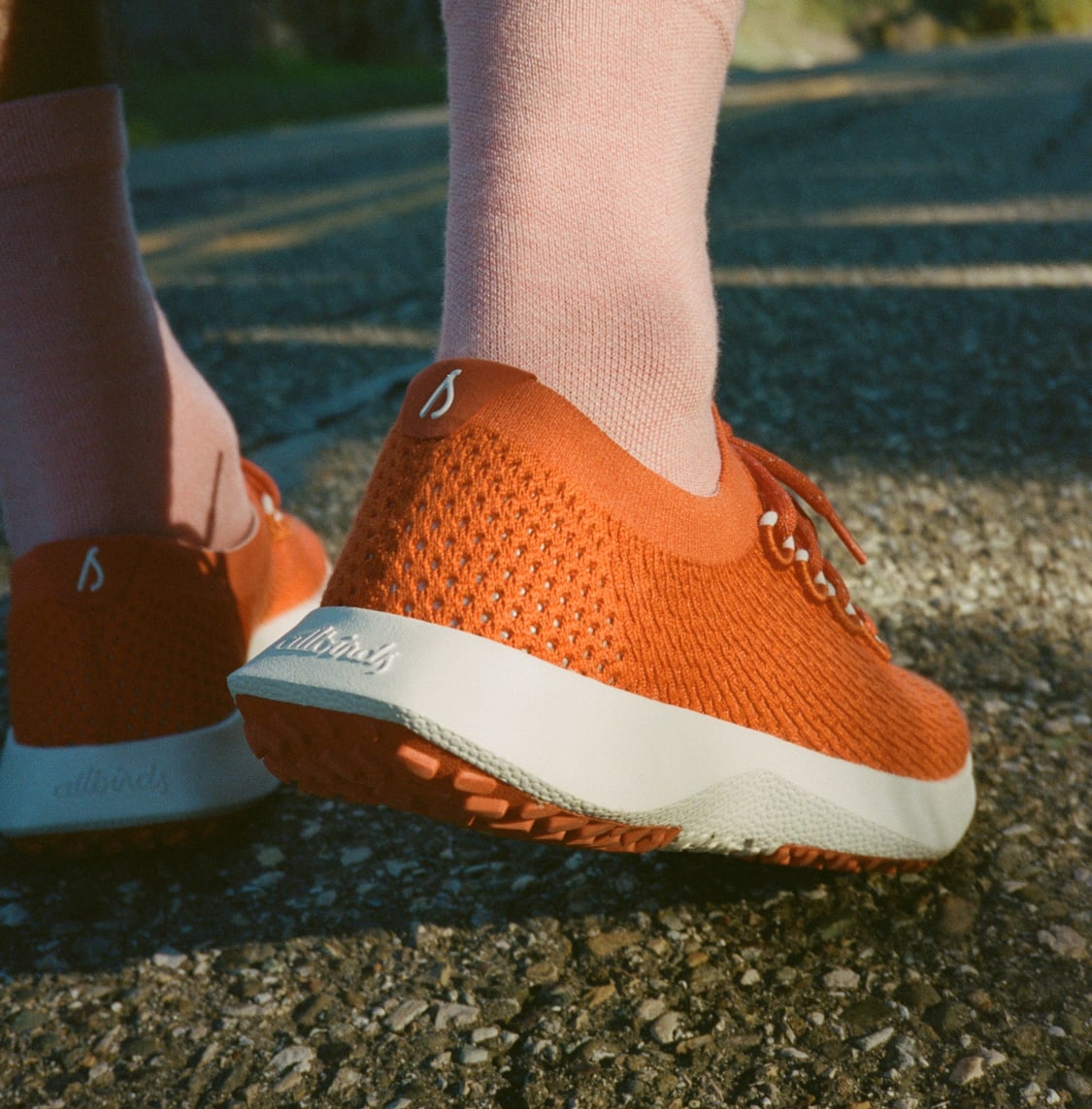 allbirds tree dashers womens