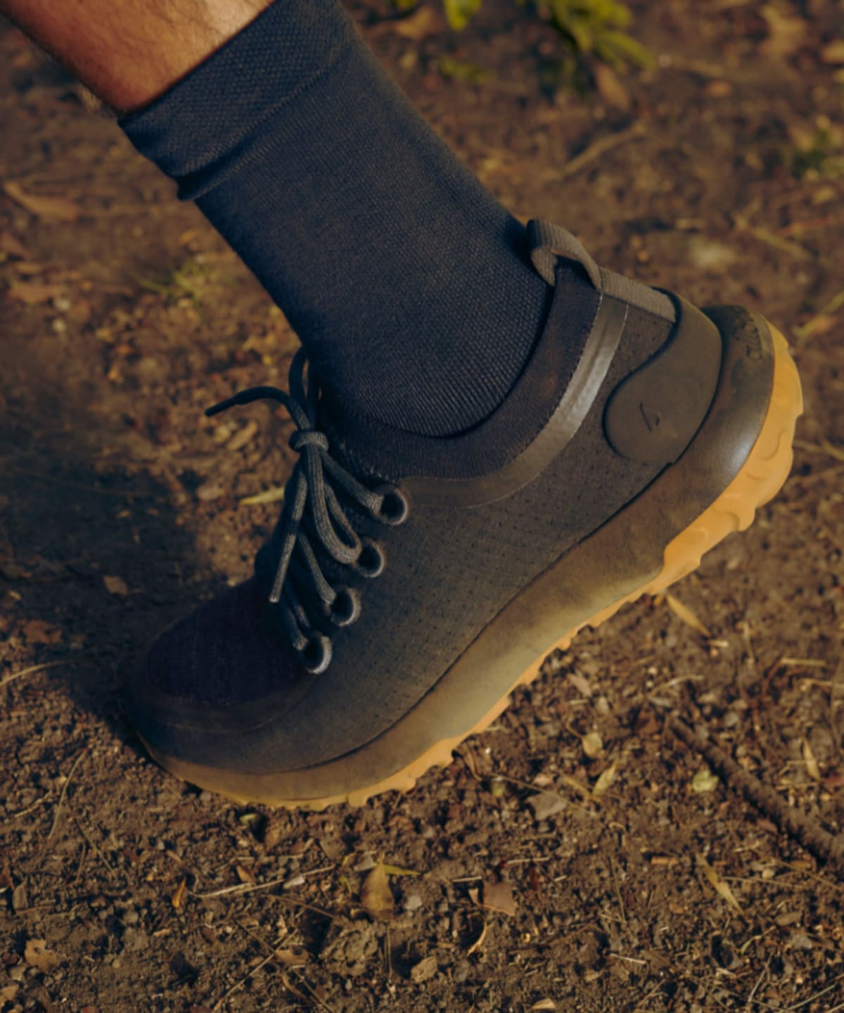Hiking in allbirds sale