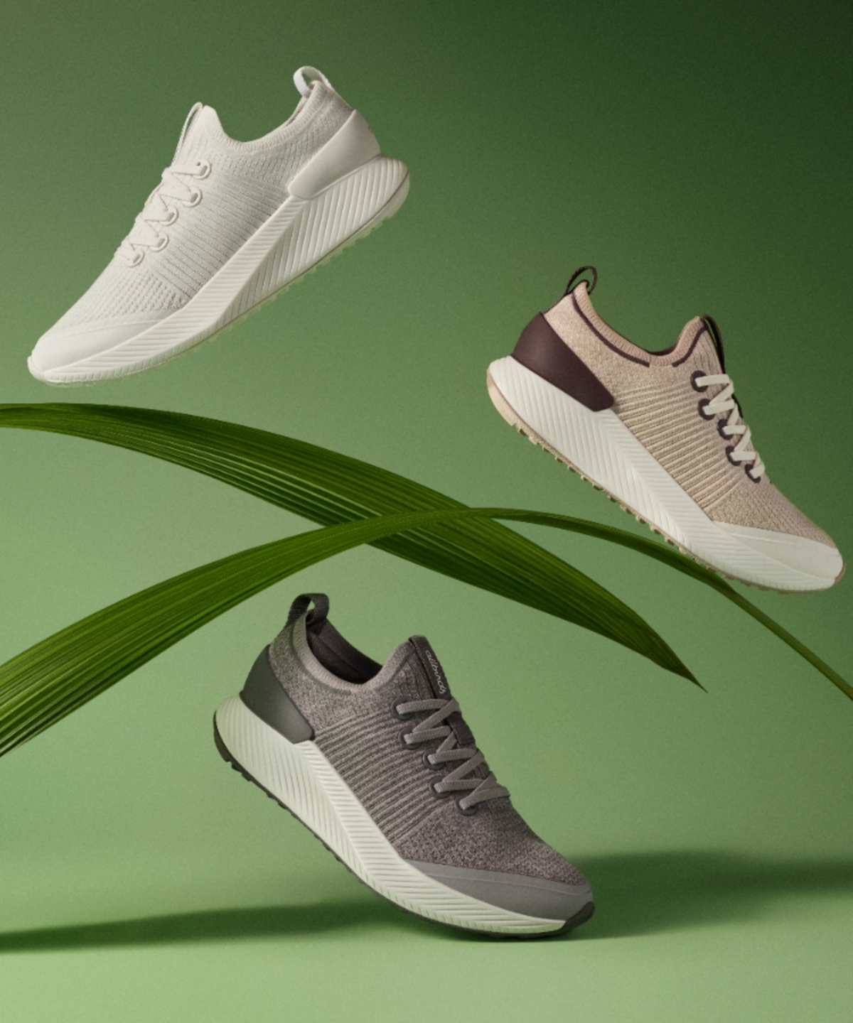Tree shoes allbirds best sale