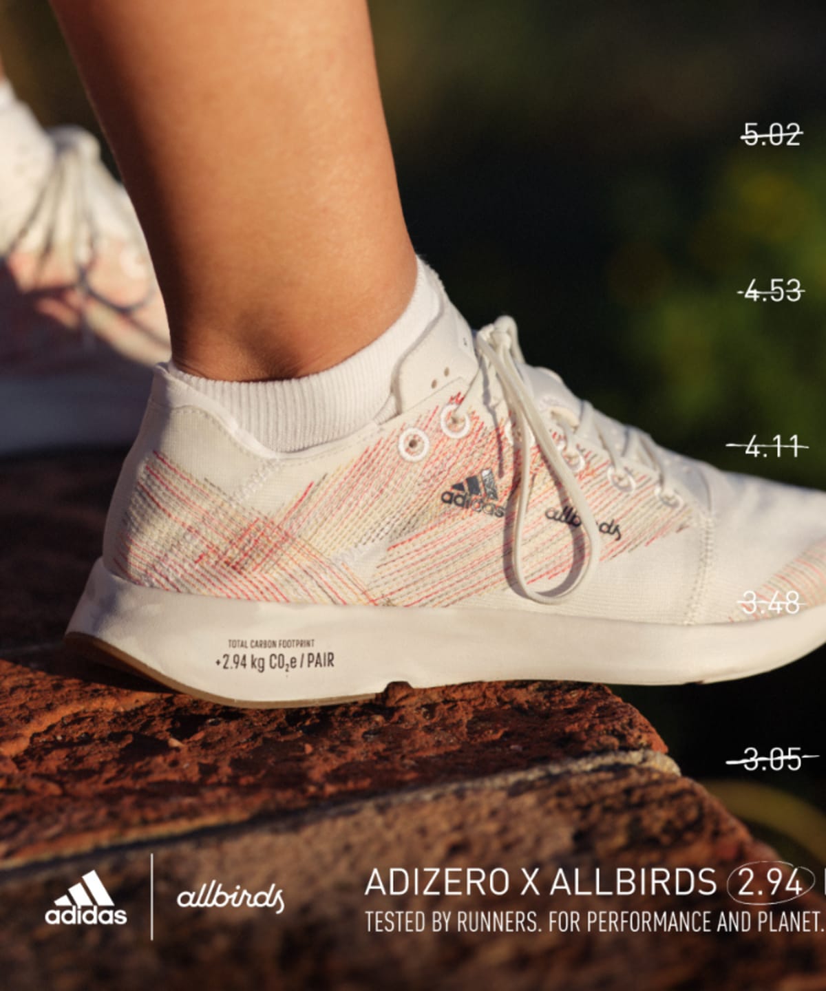 Allbirds history on sale