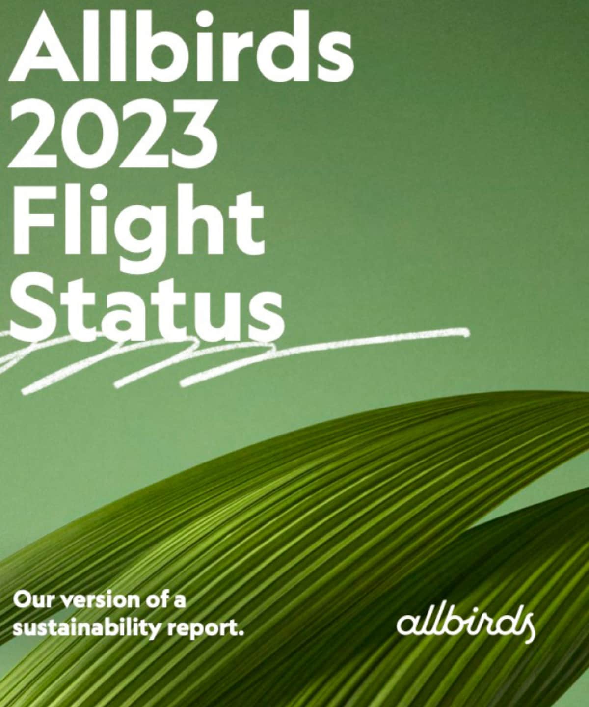 Allbirds annual report deals