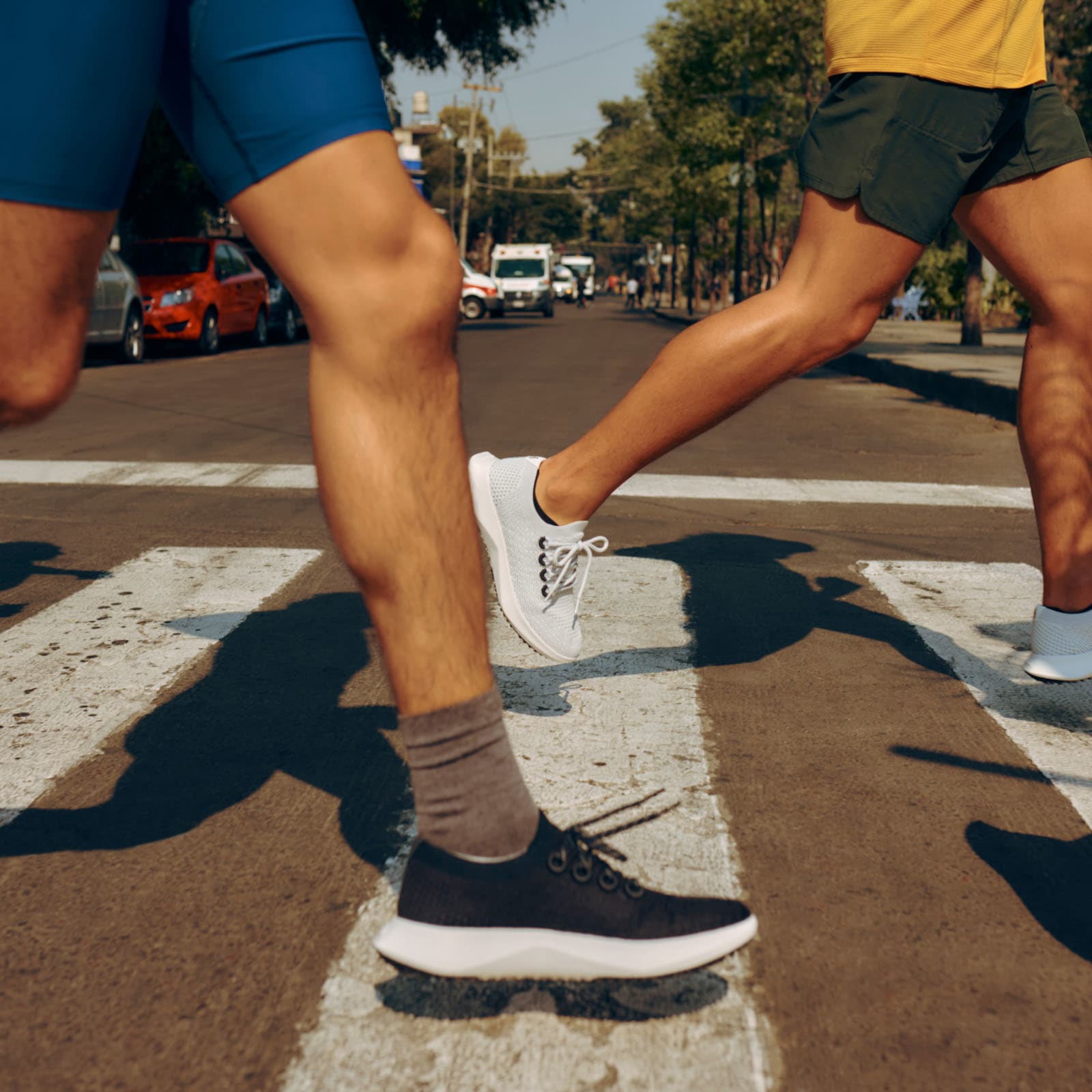 Tree Dasher 2 for Men Running Shoes Allbirds