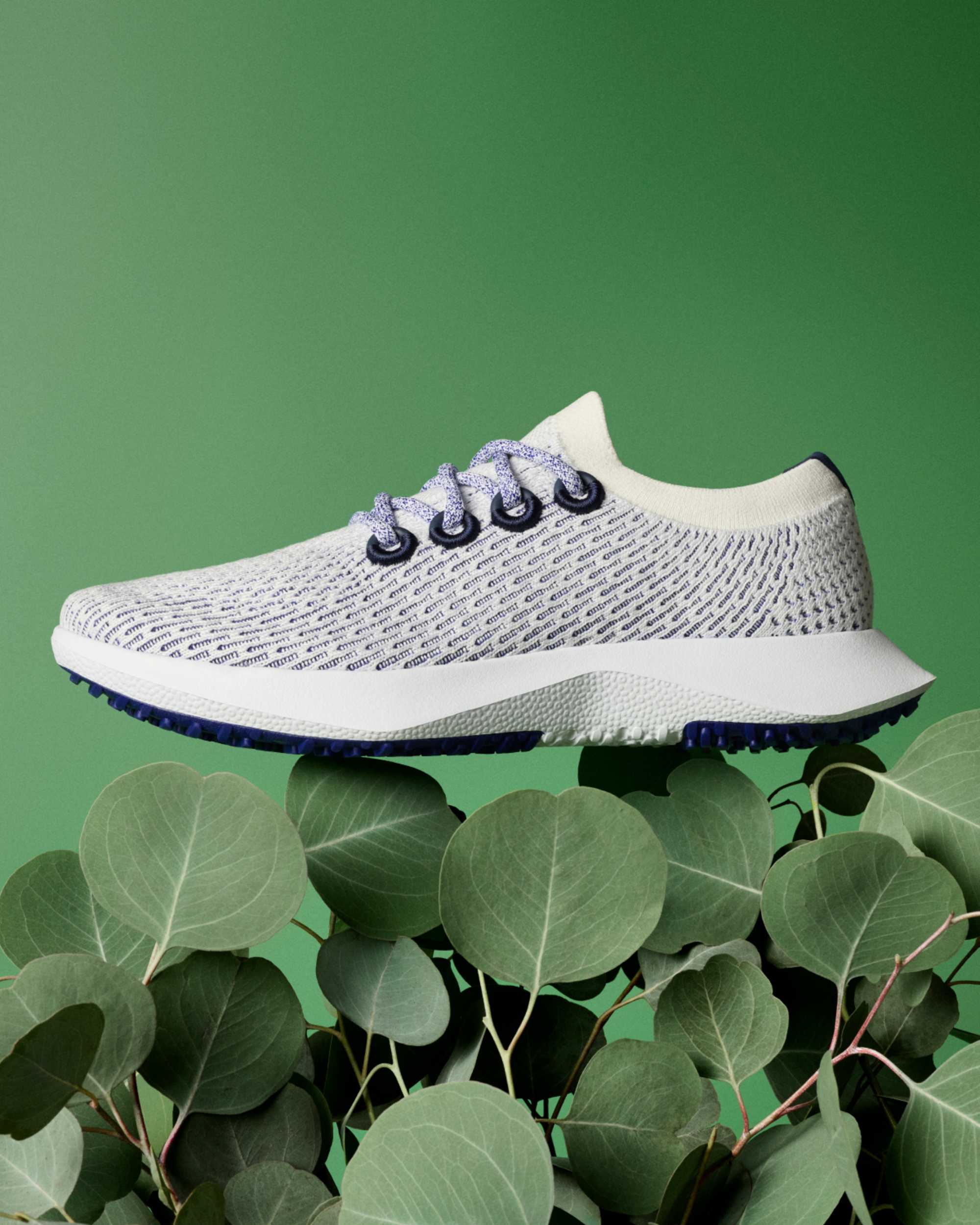 About allbirds deals