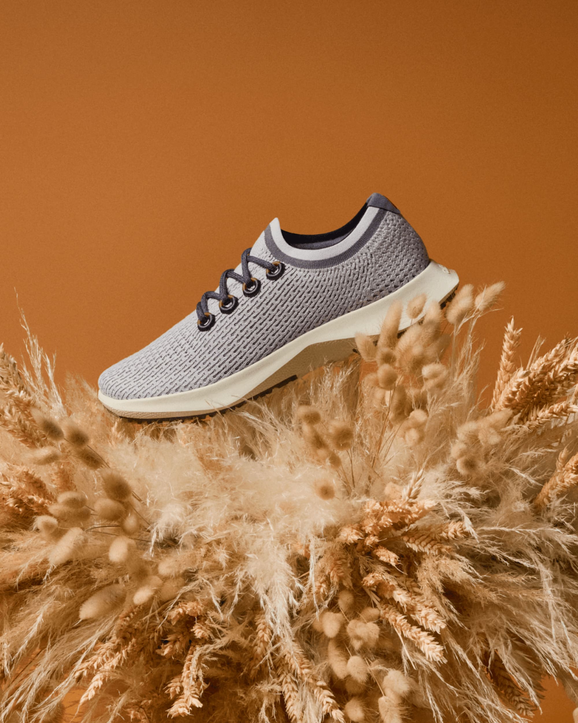 Allbirds Comfortable Sustainable Shoes Apparel