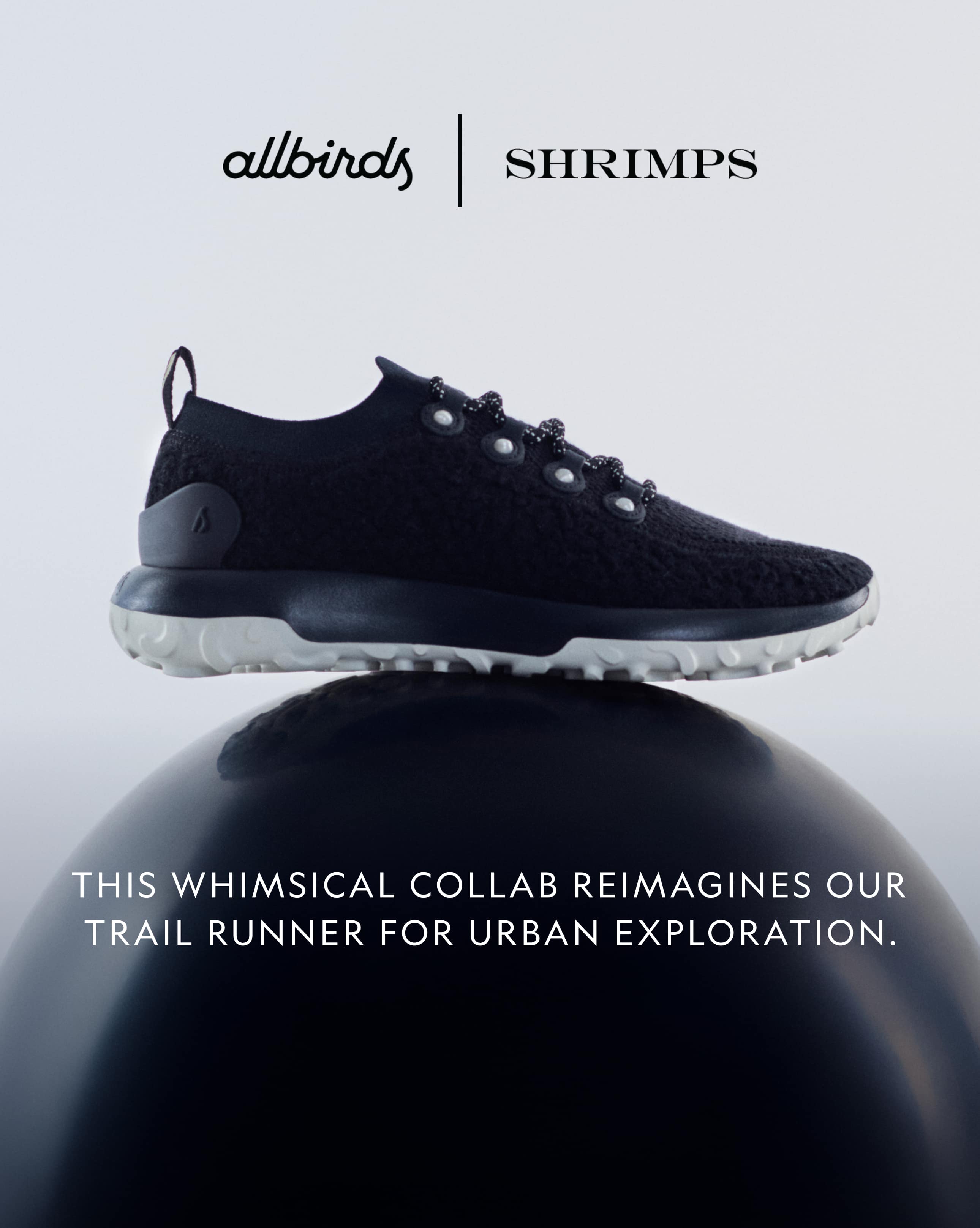 Return allbirds online