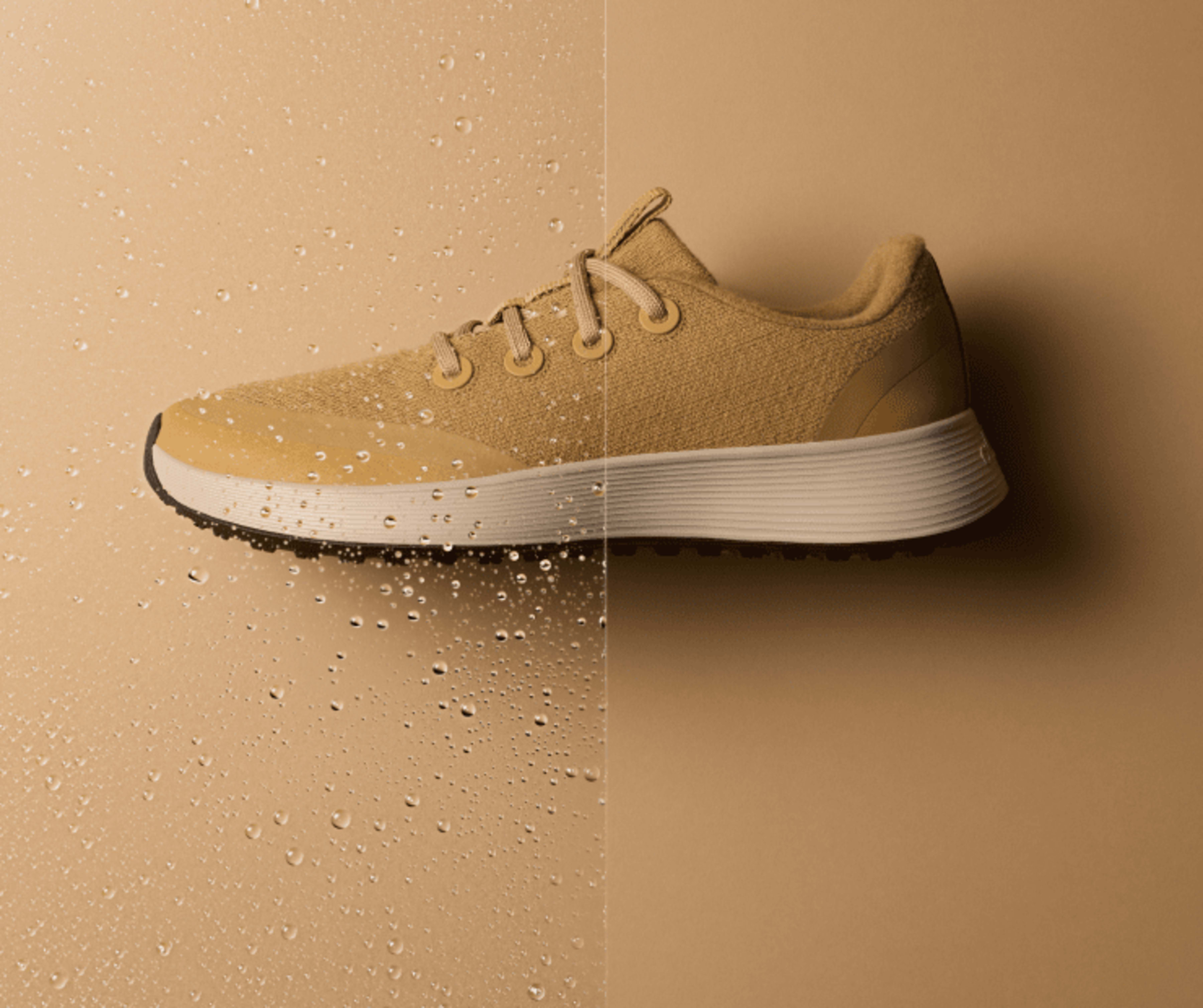 The Wet Weather Shop Allbirds
