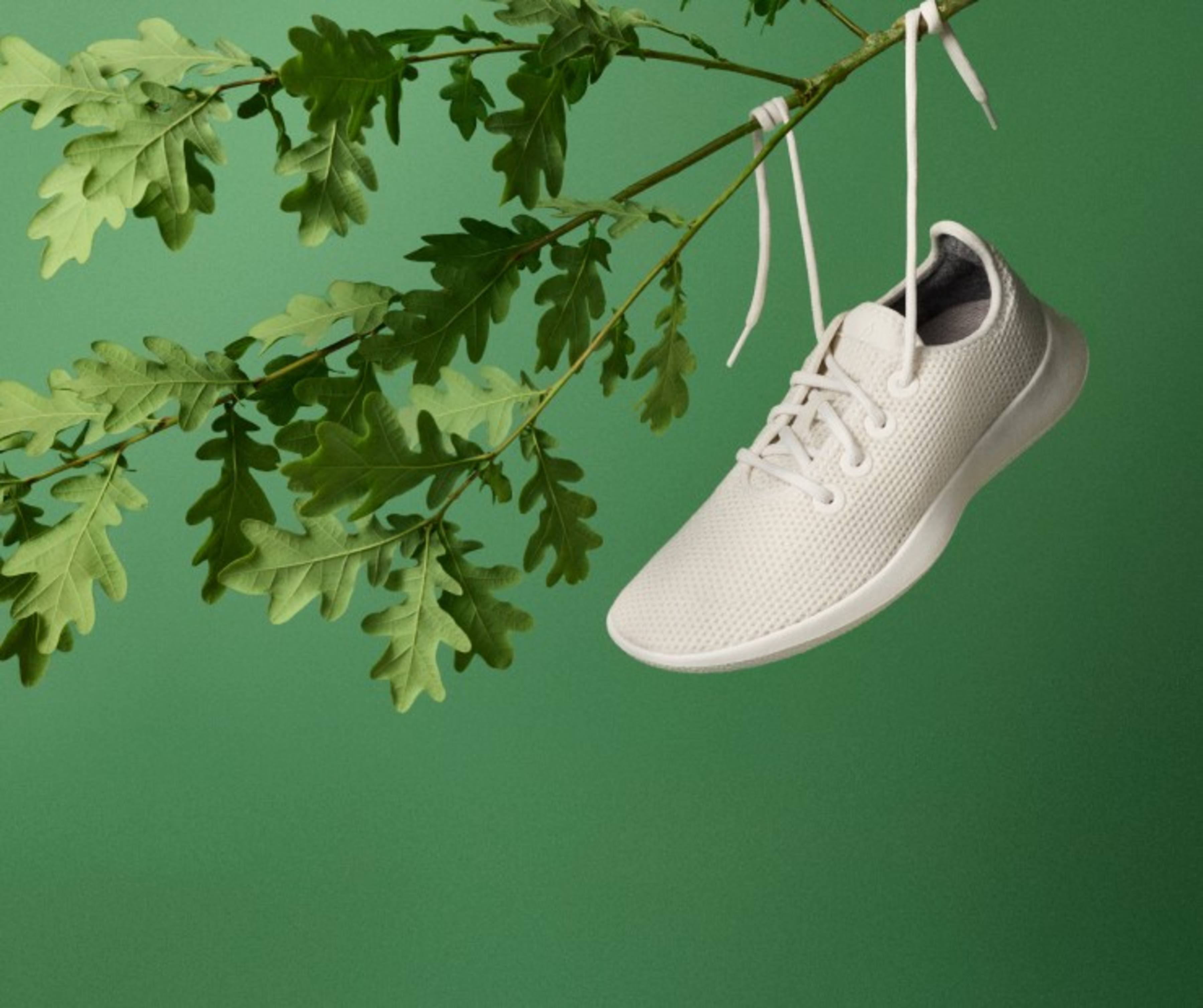 Allbirds made in online