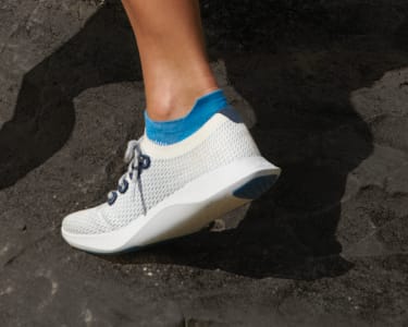allbirds tree dasher geyser
