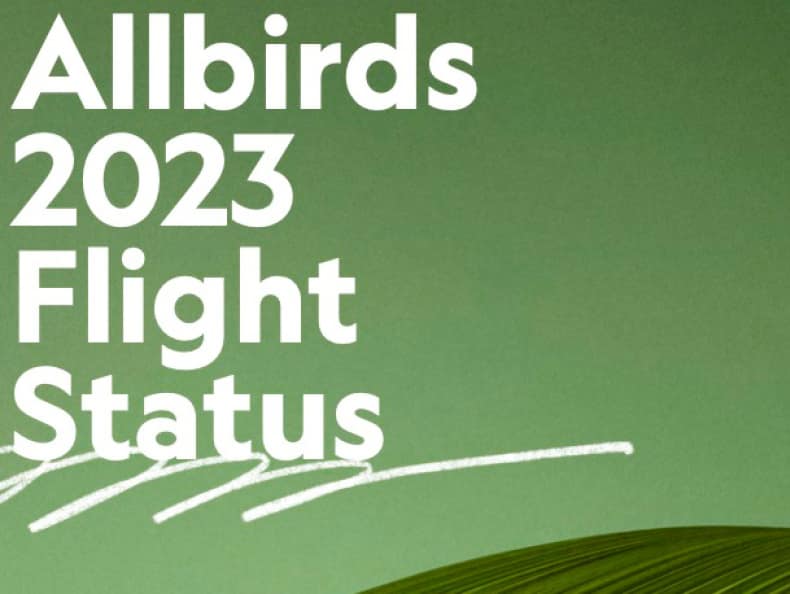 Allbirds press release store