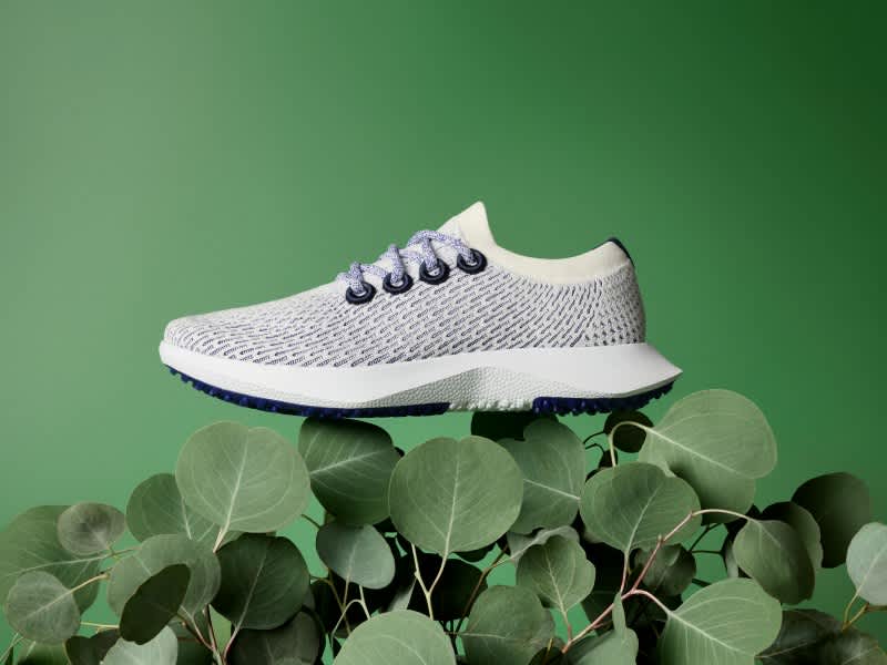 Allbirds trees top