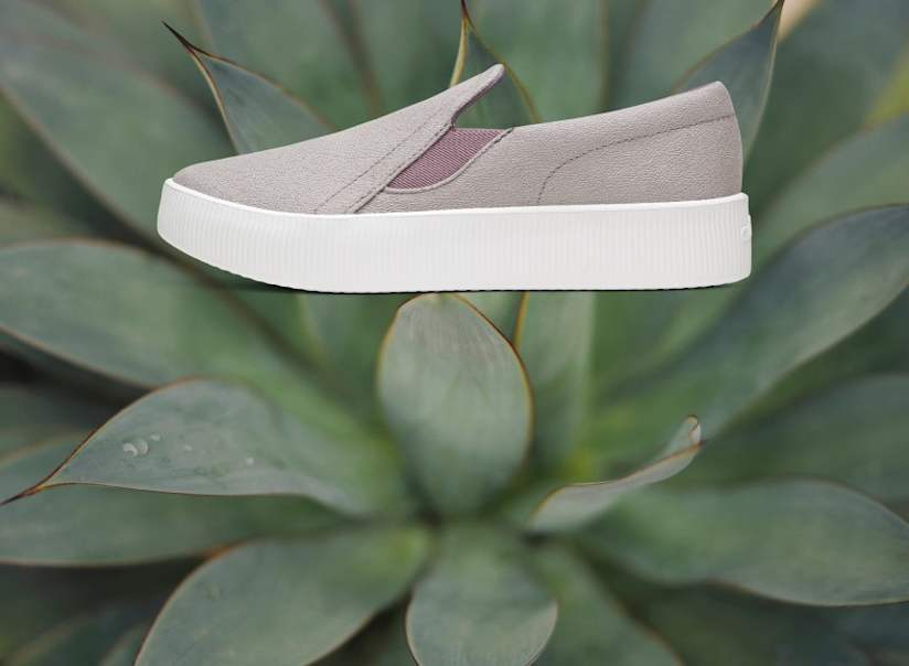 Allbirds: Sustainable Women's Shoes, Wear-All-Day Comfort Allbirds: Sustainable Women's Shoes, Wear-All-Day Comfort