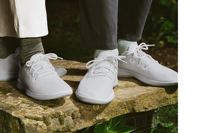 Allbirds white tree runners sustainable shoes