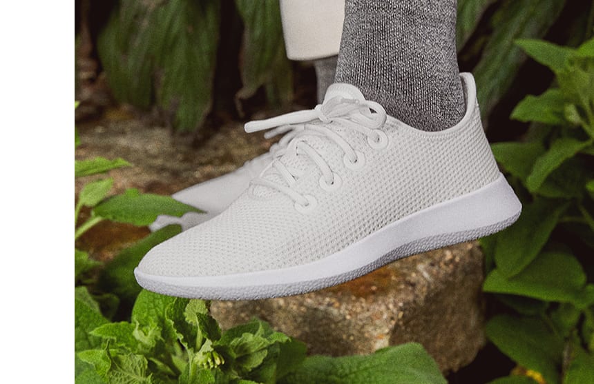 allbirds tree sneakers