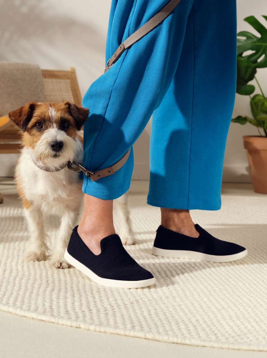 Allbirds slip on shoes online