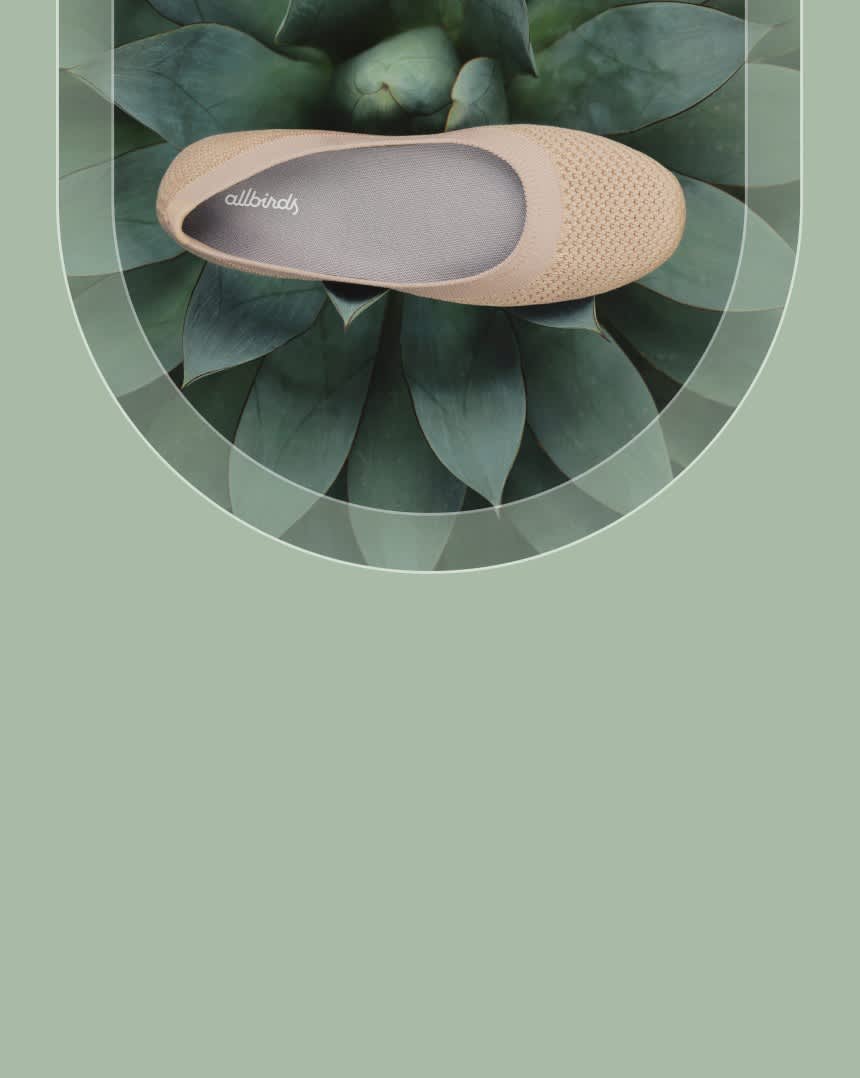 Allbirds: Comfortable, Sustainable Shoes & Apparel