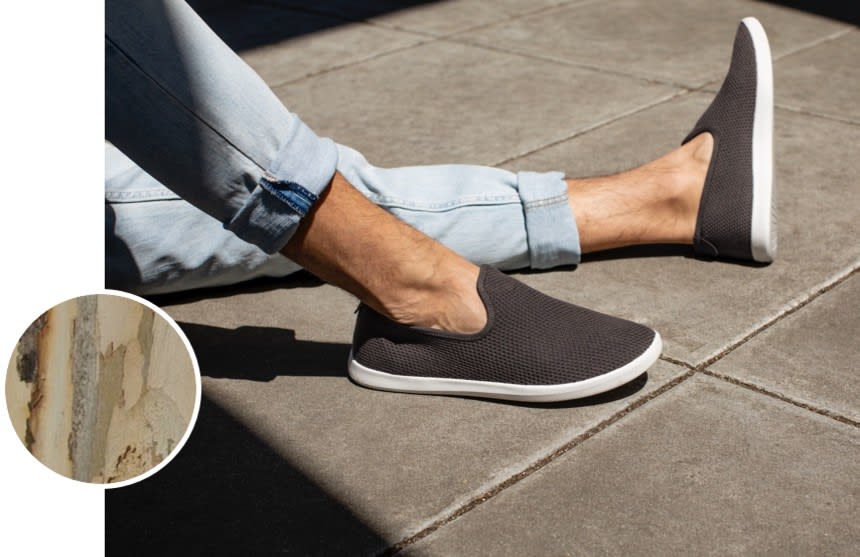 allbirds men's tree loungers