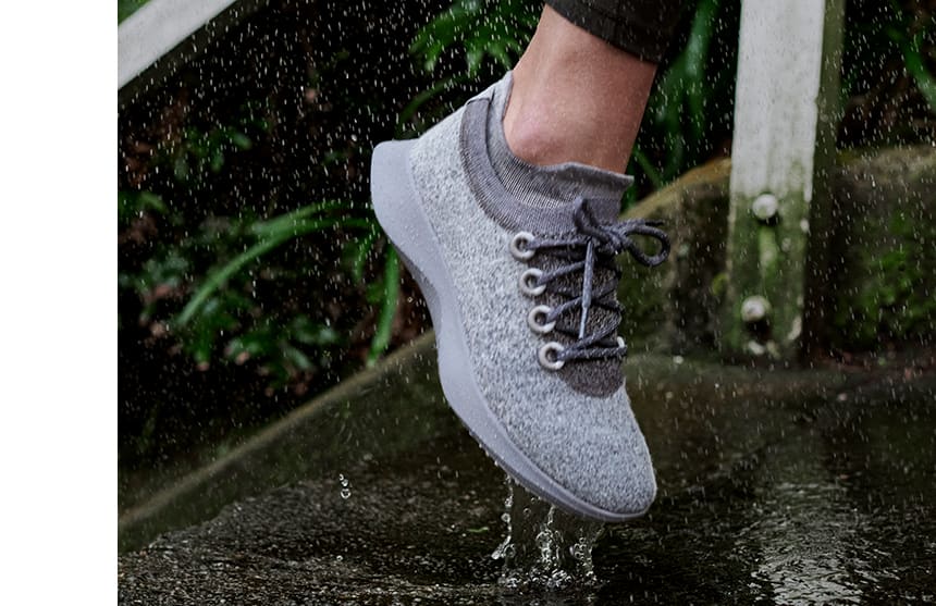 free allbirds