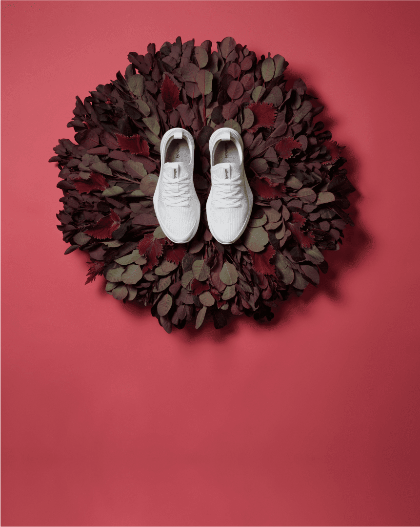 Allbirds sustainable shoes top