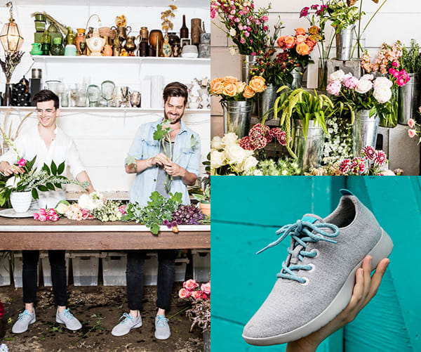 Allbirds Store in Stanford Shopping Center, Palo Alto, California