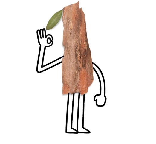 Allbirds materials Clearance