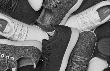 allbirds shoes wiki