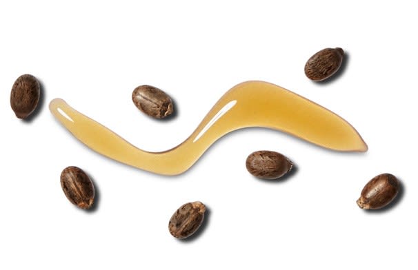 Castor beans and castor bean oil